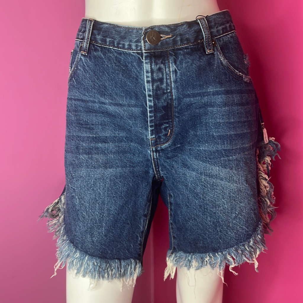 Free People Dakota Frankies Long Length Short Blue Size 31